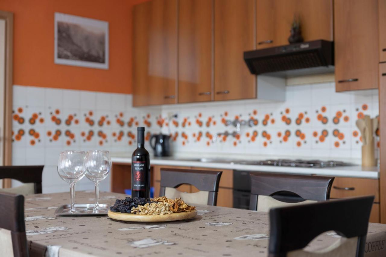 Apartment Gaja Tolmin Dış mekan fotoğraf